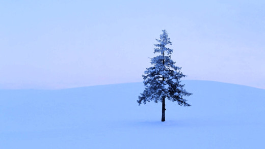 1671469 (a): :1920x1080